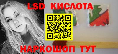 гидра Можга