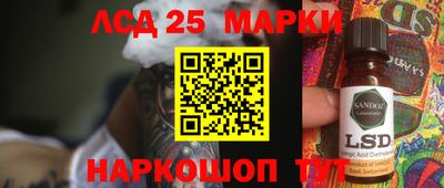гидра Можга
