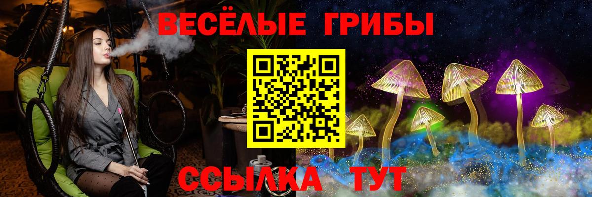 Галлюциногенные грибы прущие грибы  Вход с VPN  Галлюциногенные грибы Magic Shrooms  Ставрополь 